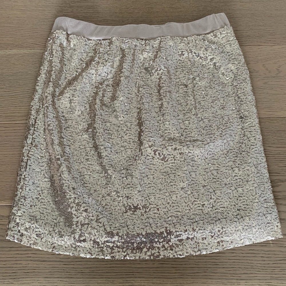 Joe Fresh Sequin Skirt